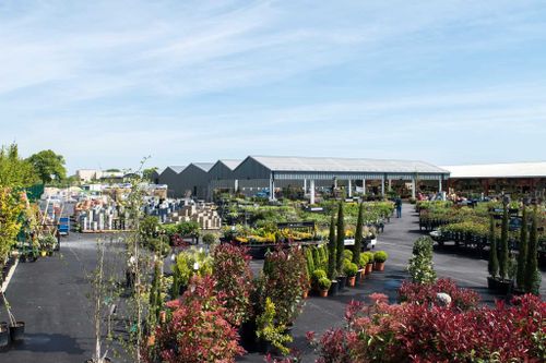 Fosseway Garden Centre