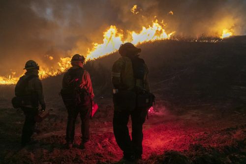 Volunteers Rally to Support Families Displaced by Algeria Wildfires