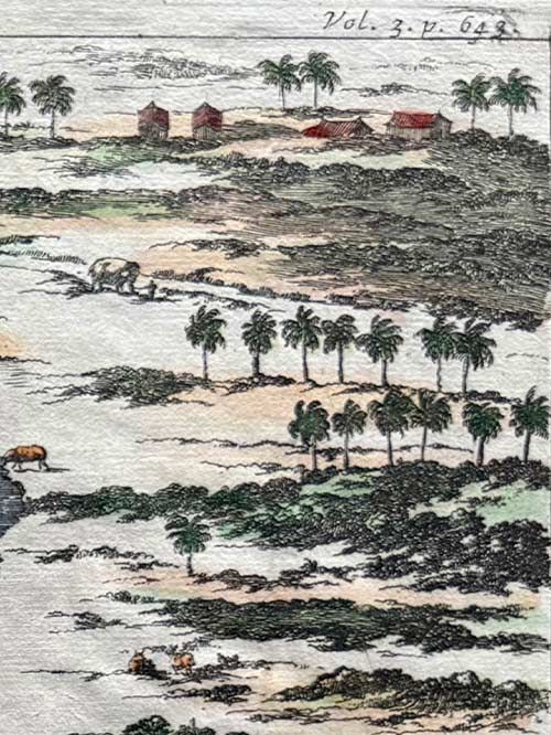 plan of cowlang