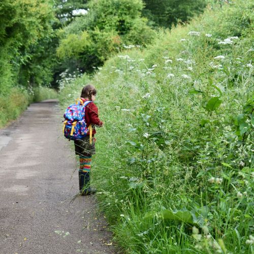 Beckford Nature Reserve