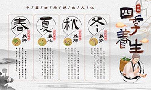 春夏秋冬中医养生文化知识展板PSD素材