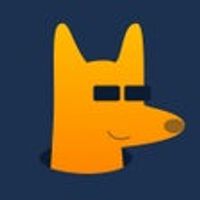 DingoVPN: Global Protection for iPhone - Download