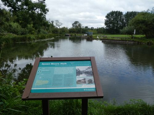 Speen Moors Walk