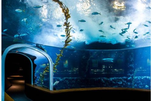 Acuario Poema del Mar