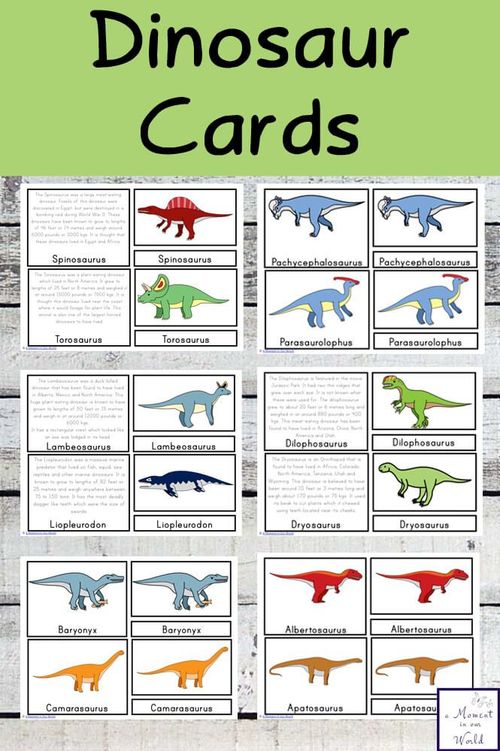 dinosaur cards with different colors and sizes for kids to learn how to draw dinosaurs in their own