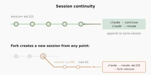 会话连续性：恢复继续相同的会话，分叉创建具有新 ID 的新分支。