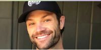 I Tried Jared Padalecki's MANTRA Labs Drink Powders - Popdust
