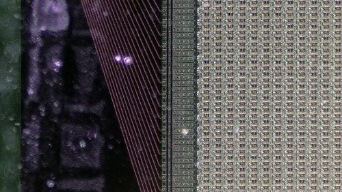AMOLED_display_microphoto_014_back_(50814485407).jpg