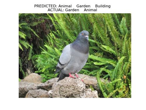 WhatsApp Image 2021-08-07 at 11.01.01 PM.jpeg