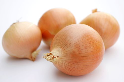 wiki file onions jpg