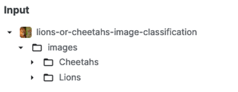 Example dataset [1] for binary image classification.