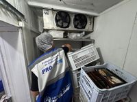 Procon explica fiscalização em restaurantes de Teresópolis e critérios para interdição