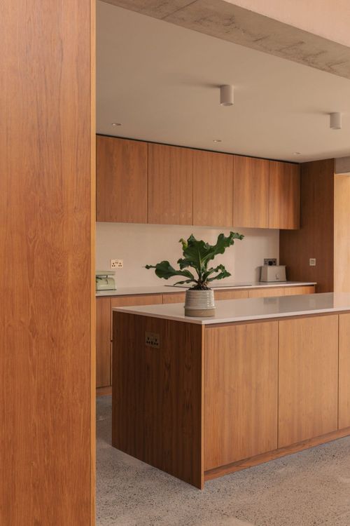 a kitchen with wooden cabinets and a plant on the counter top in front of it