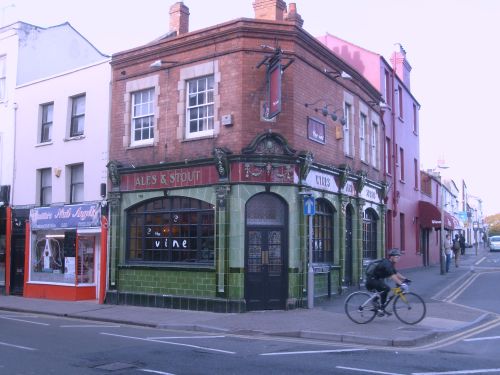 The Vine