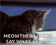 a cat is sitting on a bed with the words `` meowther fucker say what again '' .