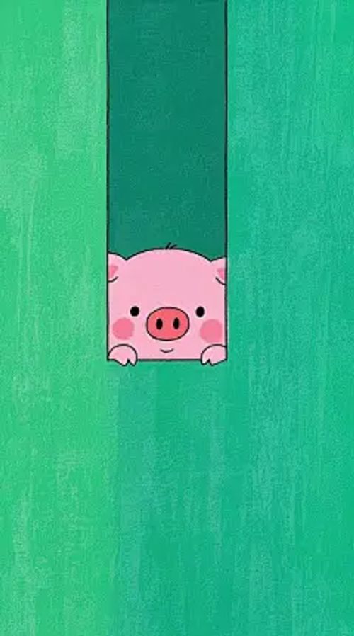 今日壁纸，猪猪来啦小猪小猪胖乎乎，壁纸一换超满足快把猪猪壁纸装到手机里，开启萌趣每一天叭！#可爱猪猪 #温暖你的猪 #可爱壁纸 - 小红书
