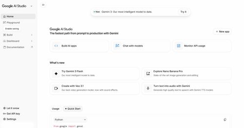 Google AI Studio Interface