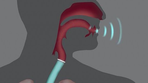 Uncover the science behind the transformation of sounds into speech