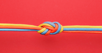 250+ Company Core Values Examples to Guide Your Organization | ...