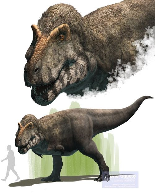 r/Paleoart - Tyrannosaurus rex by Gabriel N. U.