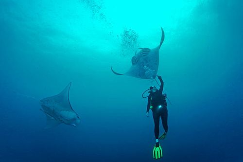  Top Places to Visit in Palau: A Diver's Paradise and More
