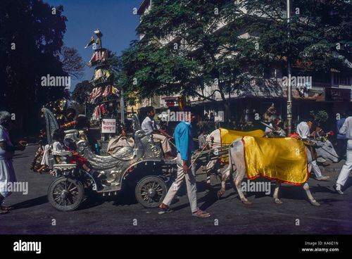 people sitting in bullock cart Jain festival procession, mumbai, maharashtra, India, Asia - Stock Image