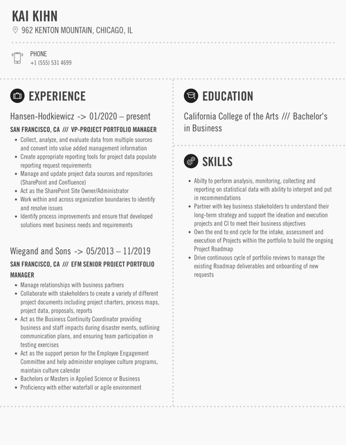 Project Portfolio Manager Resume Sample