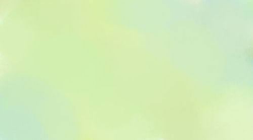 Abstract pastel light green background, trendy color