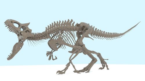 indominus rex skeleton model https://p.turbosquid.com/ts-thumb/An/kFnHGa/WECdIaQk/render4/png/1504028480/1920x1080/fit_q87/6f3f514d8aa6f908c5064ebdfe38039083b24449/render4.jpg