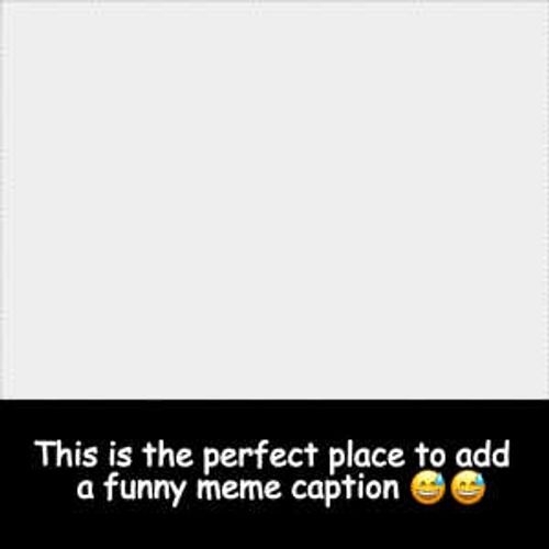 Square Meme with bottom white bar and black Comic Sans font