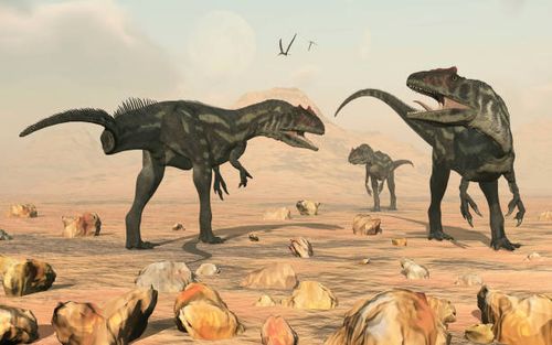 a small pack of allosaurus dinosaurs. - dinosaur fight stock illustrations