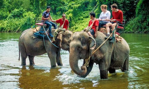 The Elephant Sanctuary Krabi Thailand