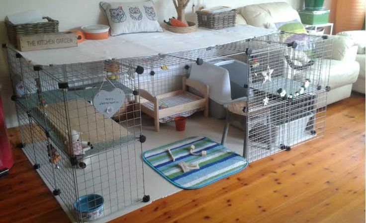 How Should A Rabbit Cage Be Set Up - Gegu Pet