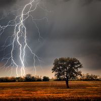 Lightning over a farm field. Weather electricity thunderstorm light energy tree