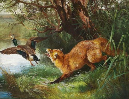 stunning oil painting handpainted on canvas-A Fox hunting grey duck - Image 1 of 1