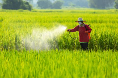 Food Contamination