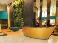 About us - Novel Office