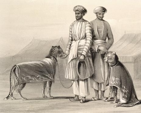 Men in white pajamas with hunting cheetahs, India 1844.