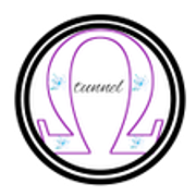 程序图标：Omega Tunnel