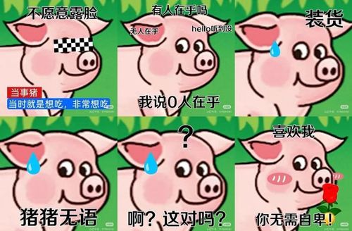 图片来源：小红书@双汇