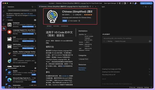 通过扩展商店安装中文语言包