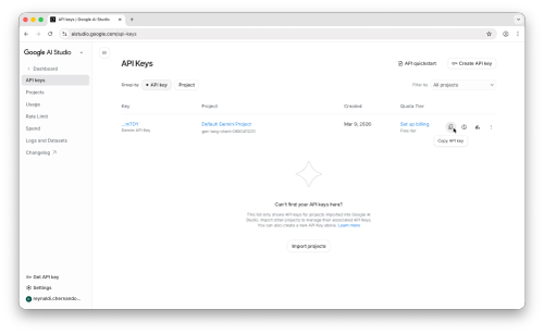 Google AI Studio API key with copy button