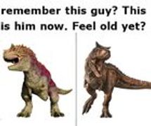 r/Dinosaurs - The Carnotaurus is officially one of the coolest dinosaurs