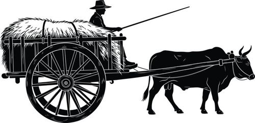 Black and white vector silhouette of a traditional farmer sitting on a wooden bullock cart loaded with hay driven by an ox on white background