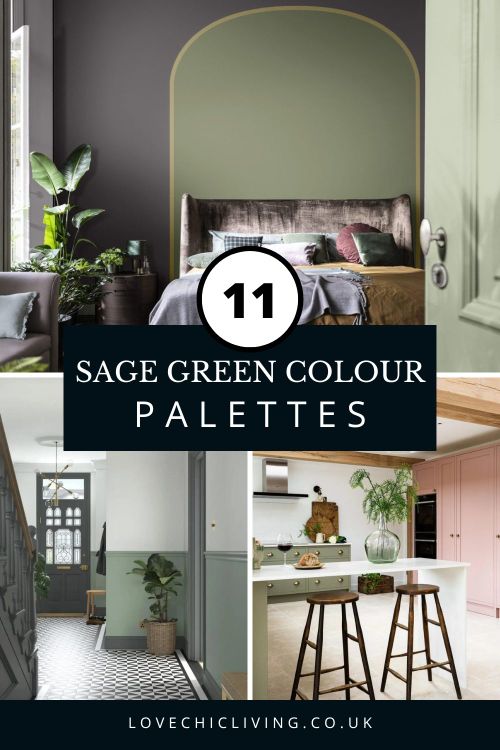 Discover 11 stunning sage green colour palettes and find out which colors perfectly complement sage green.
