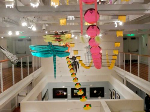 The Walt Disney Family Museum