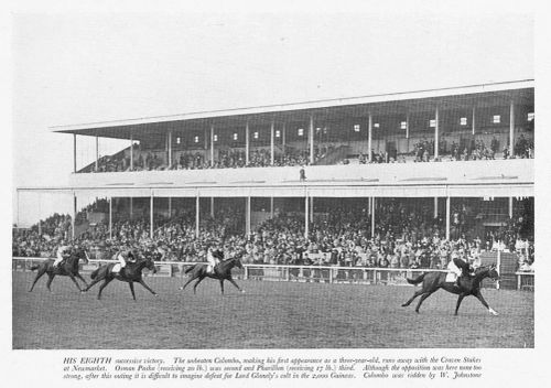 HORSE RACING Colombo Winning the Craven Stakes at Newmarket - Vintage Print 1934 - Image 1 of 1
