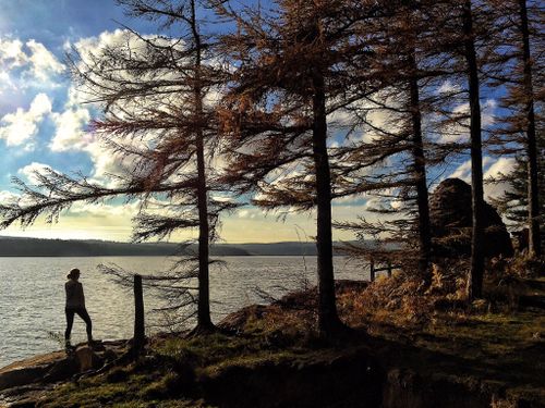 Kielder Water & Forest Park