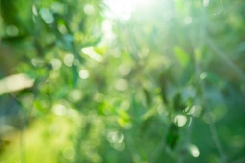 Green blurred nature background Green blurred nature background with light reflections. nature stock pictures, royalty-free photos & images