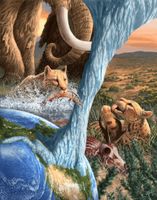 The extinct American 'cheetah' was not a cheetah after all - Phys.org